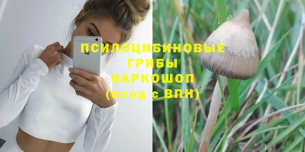 мяу мяу мука Алзамай