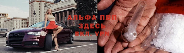 дурь Алексин