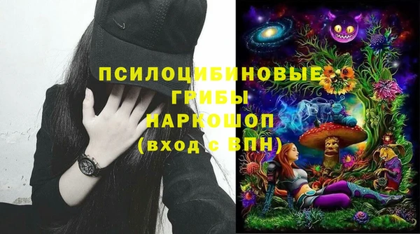 дурь Алексеевка