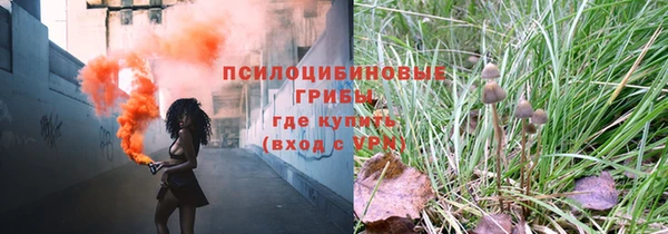 дурь Алексин